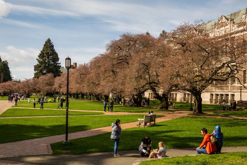 Best Student Phone Plans Fall 2026: AT&T vs Verizon vs T-Mobile Unlimited on the Same Campus WiFi Test